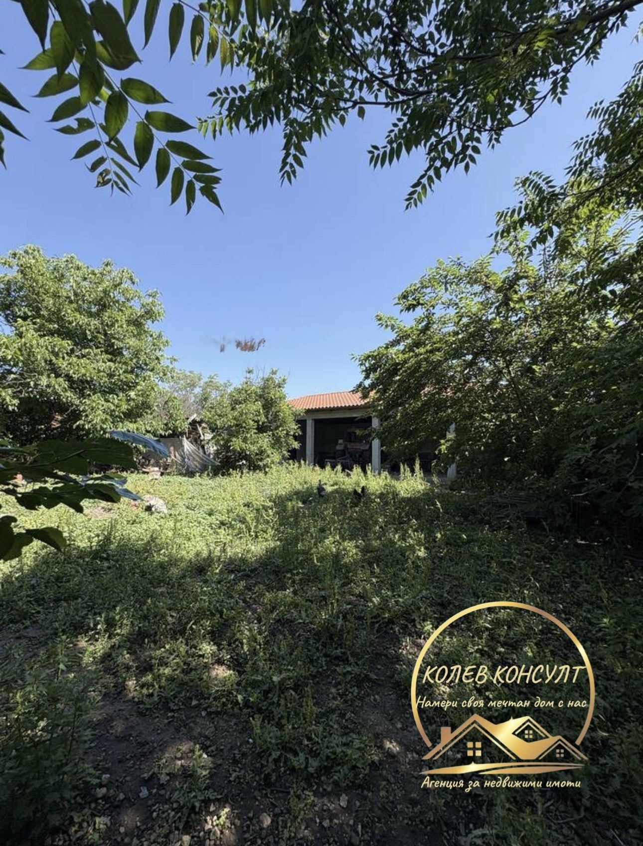 Продава КЪЩА, с. Въгларово, област Хасково, снимка 4 - Къщи - 54866591
