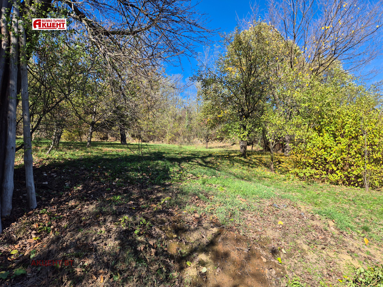 ������� ���� | Imot.bg � ����������� 8