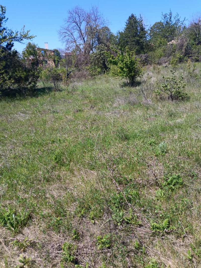 Продаја  Плот Разград , Промишлена зона - Запад , 1700 м2 | 41388337 - слика [2]