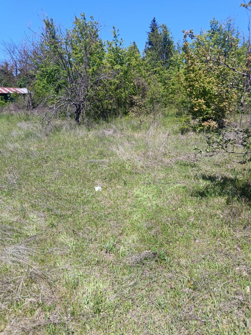 Продаја  Плот Разград , Промишлена зона - Запад , 1700 м2 | 41388337 - слика [4]