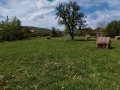 Продава ПАРЦЕЛ, с. Стефаново, област Ловеч, снимка 3