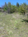 Продава ПАРЦЕЛ, град Разград, Промишлена зона - Запад • 40000 лв. • 53126575 — Holmes.bg