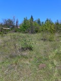 Продава ПАРЦЕЛ, град Разград, Промишлена зона - Запад • 40000 лв. • 53126575 — Holmes.bg