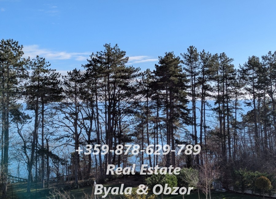 ������� 1-����� | Imot.bg � ����������� 9