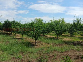 ������� ���� | Imot.bg � ����� ������ 6