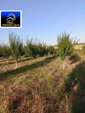 ������� ������ | Imot.bg � ����� ������ 4