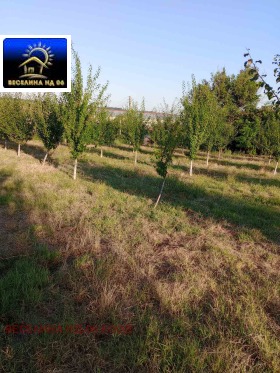 ������� ������ | Imot.bg � ����� ������ 3