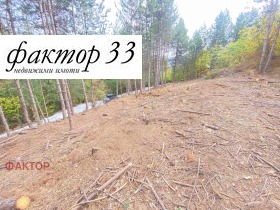 ������ ������� ������