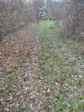 ������� ������ | Imot.bg � ����� ������ 2