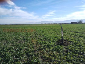 ������� ���������� ���� | Imot.bg � ����� ������ 2