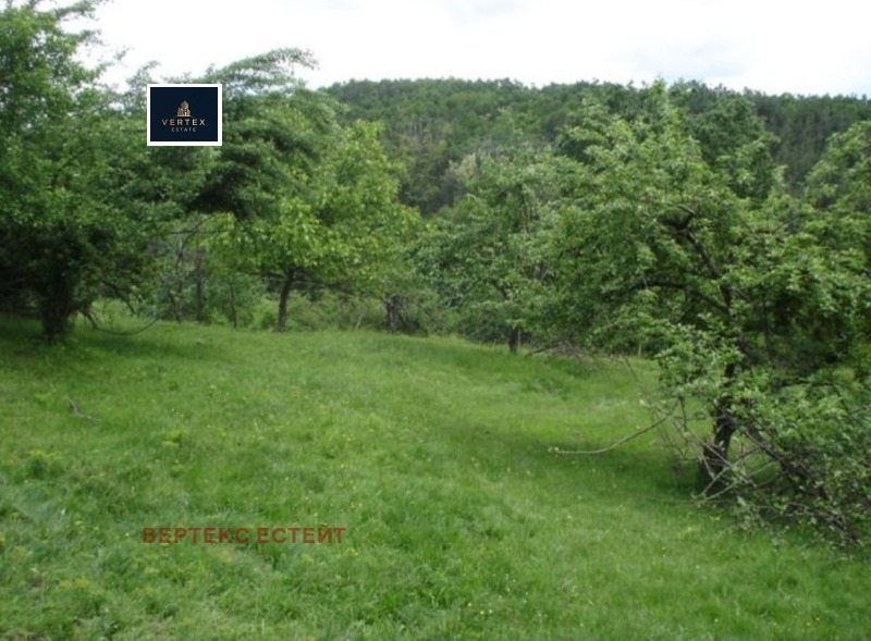 Til salg  Grund region Gabrovo , Hristovtsi , 2552 kvm | 83371015 - billede [2]