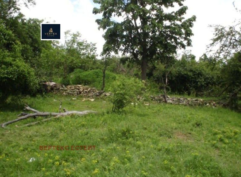 Til salg  Grund region Gabrovo , Hristovtsi , 2552 kvm | 83371015 - billede [3]
