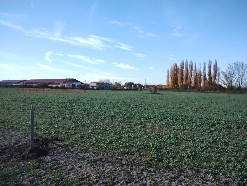 Продава ЗЕМЕДЕЛСКА ЗЕМЯ, с. Войводиново, област Пловдив, снимка 4 - Земеделска земя - 52384710