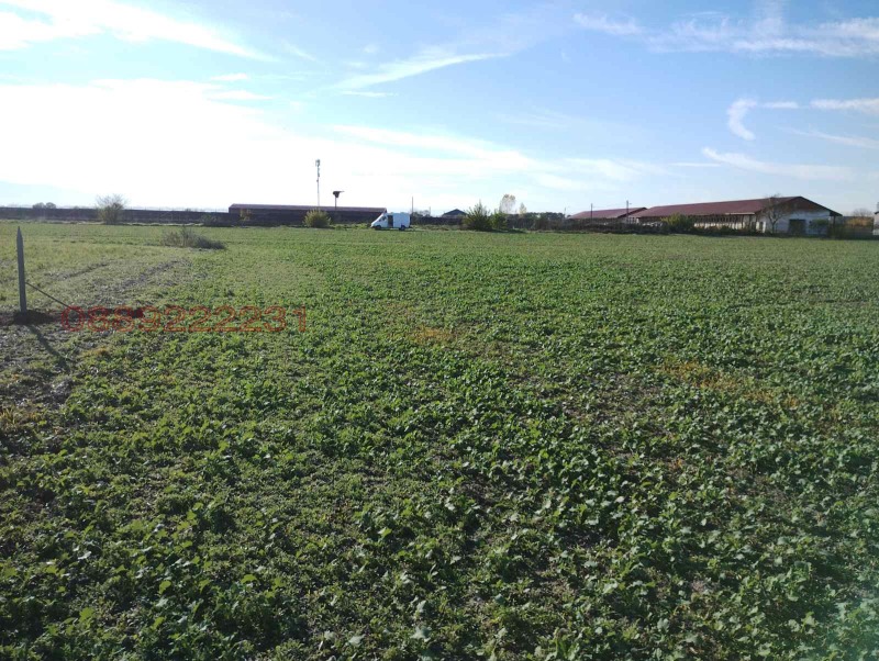 Продава ЗЕМЕДЕЛСКА ЗЕМЯ, с. Войводиново, област Пловдив, снимка 3 - Земеделска земя - 52384710