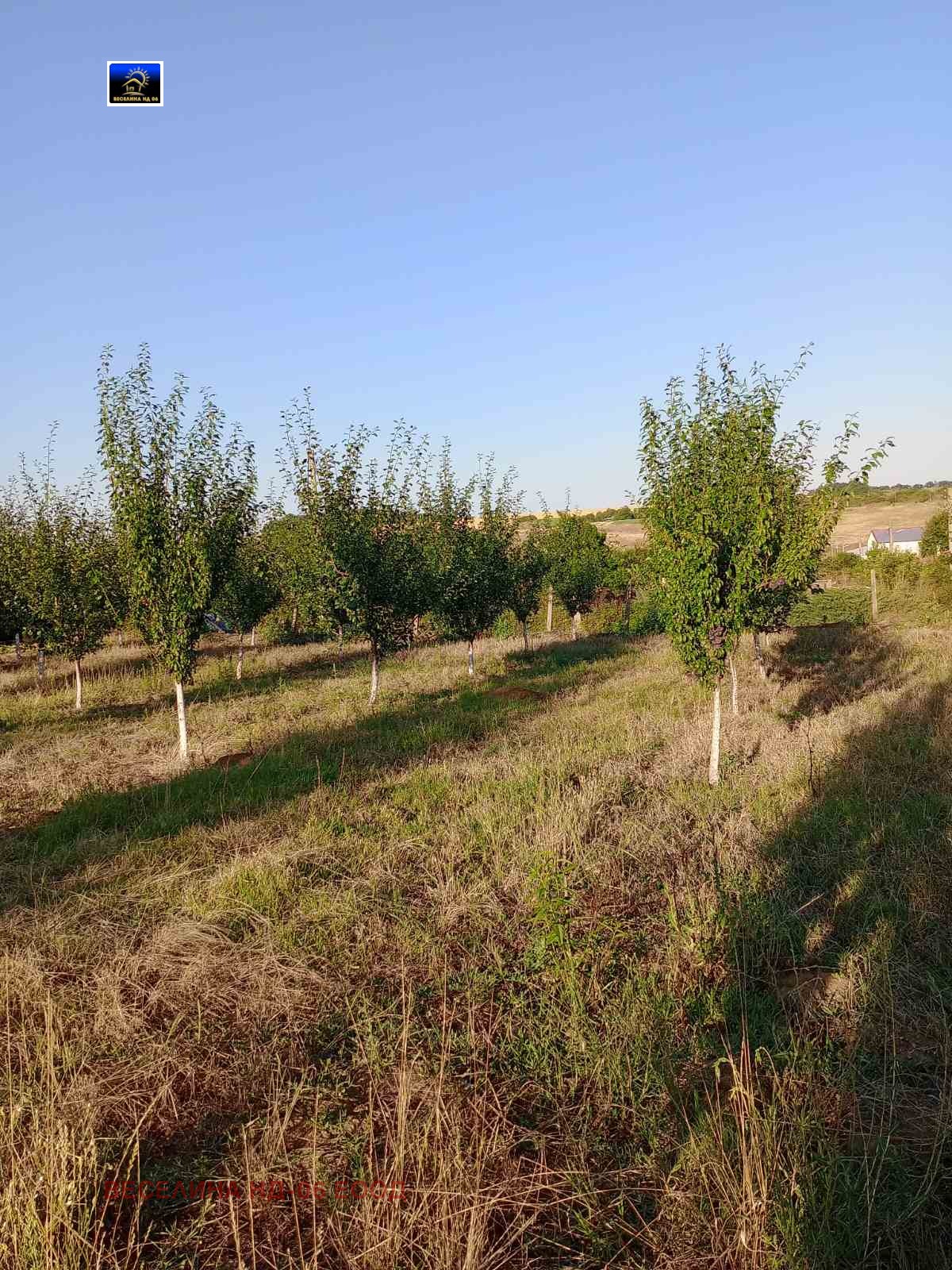 Продава ПАРЦЕЛ, с. Драганово, област Добрич, снимка 4 - Парцели - 53674038