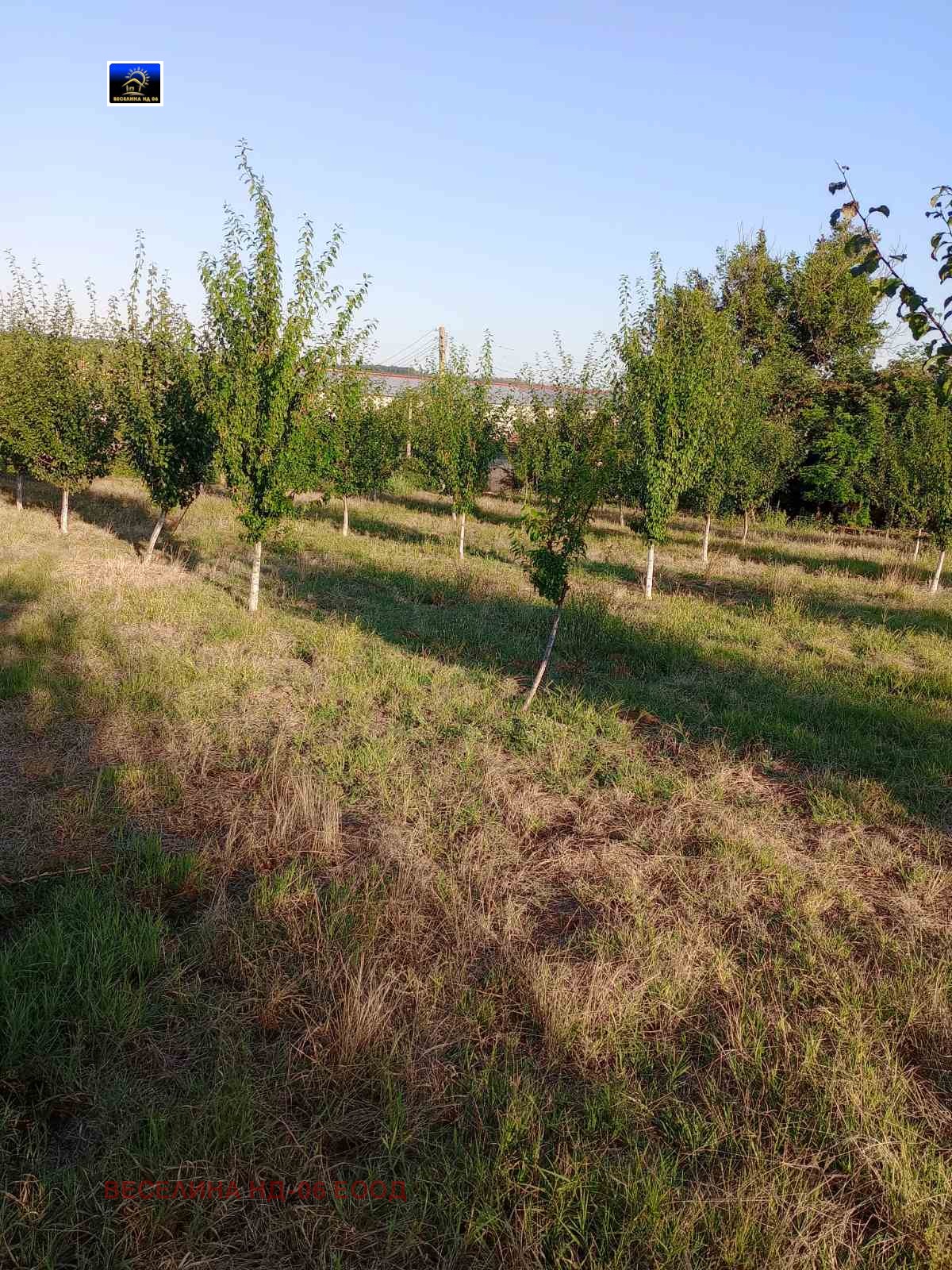 Продава ПАРЦЕЛ, с. Драганово, област Добрич, снимка 3 - Парцели - 53674038