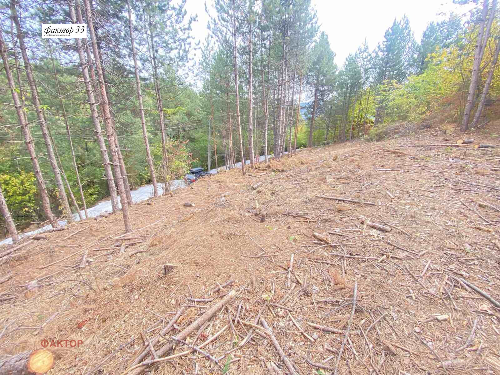 Продава ПАРЦЕЛ, гр. София, с. Бистрица