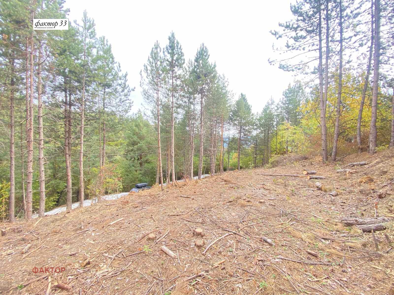 Продава ПАРЦЕЛ, гр. София, с. Бистрица, снимка 2 - Парцели - 51911507