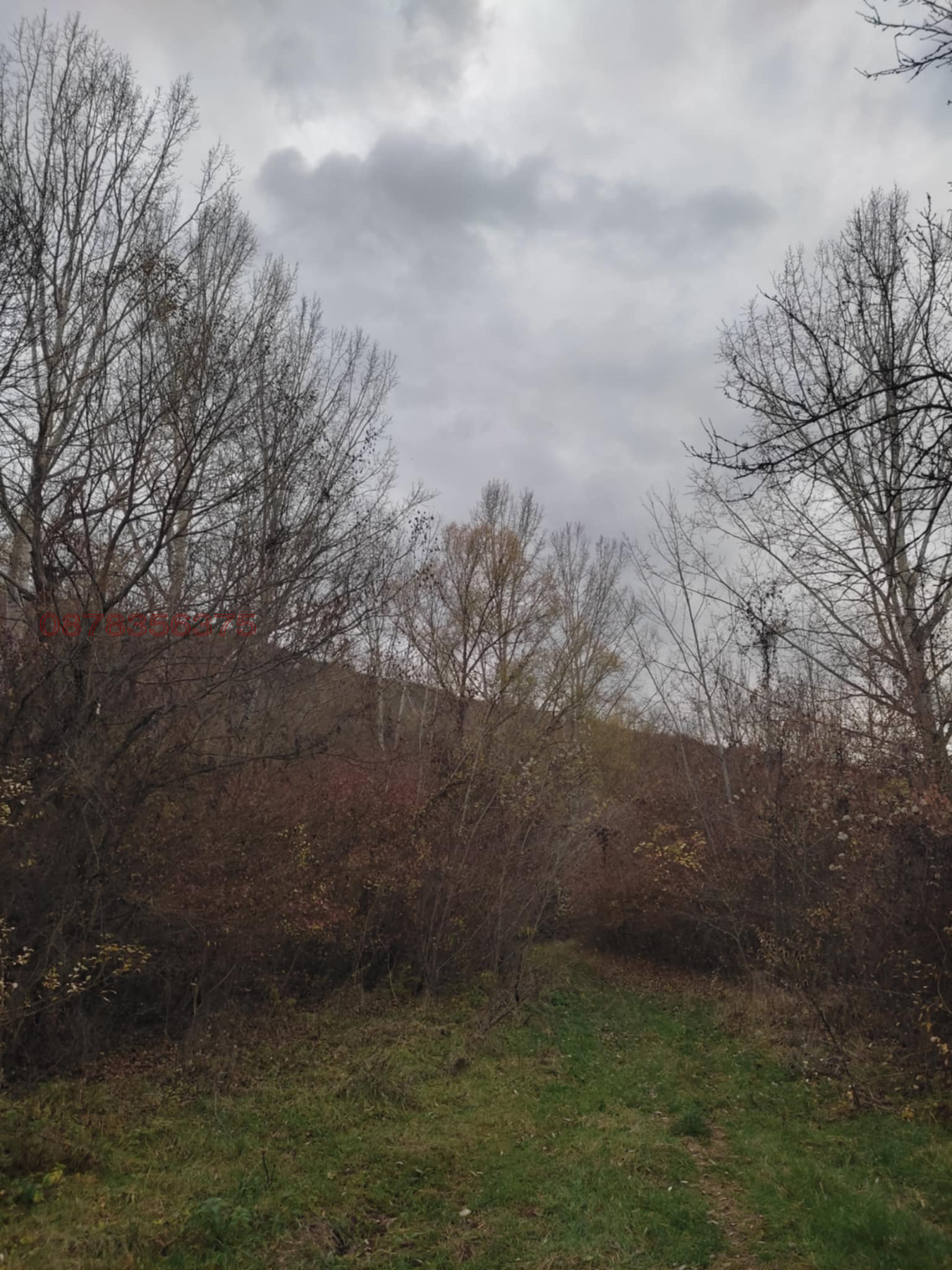 Продава ПАРЦЕЛ, с. Габер, област София област, снимка 4 - Парцели - 53746996