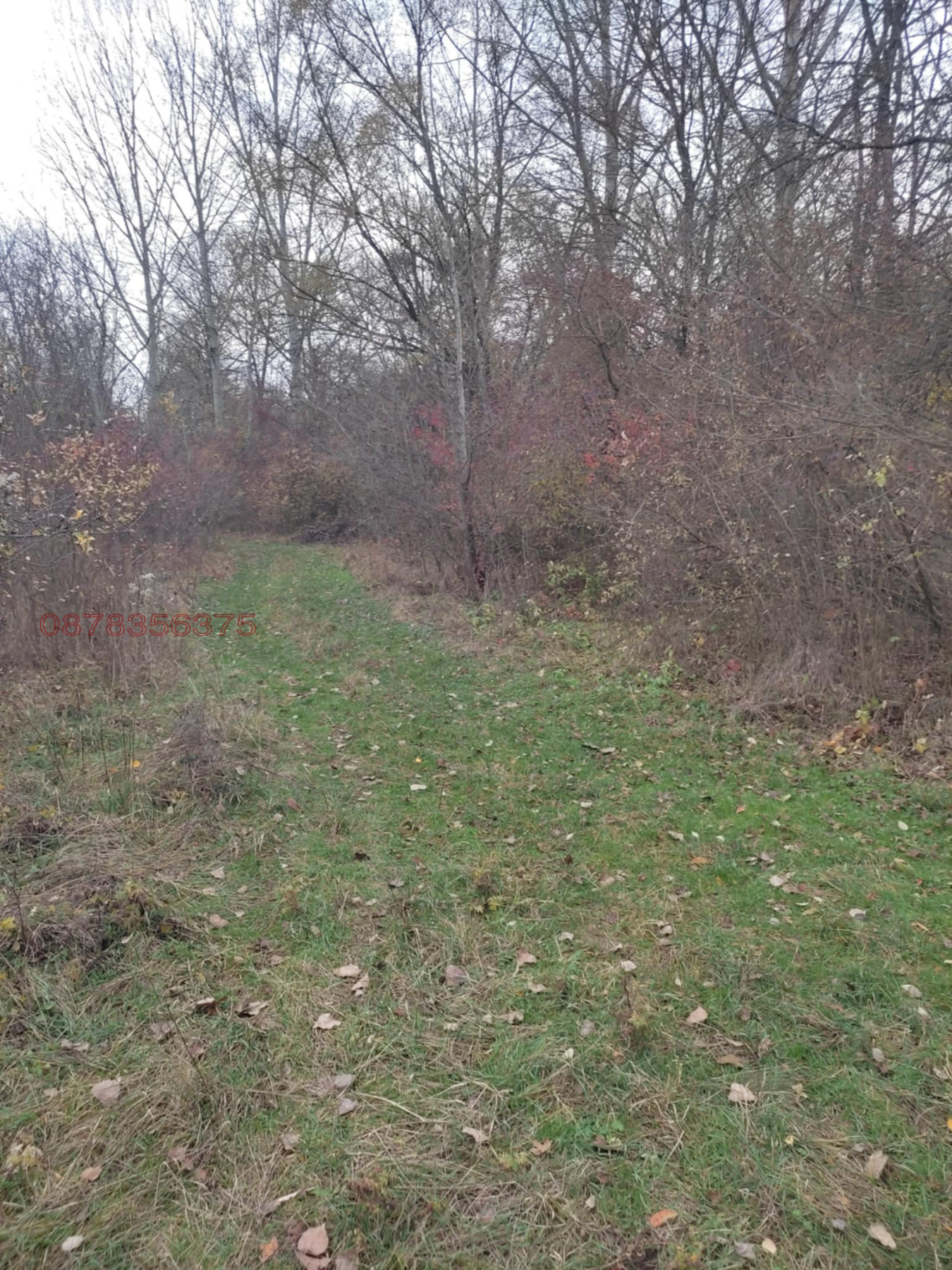 Продава ПАРЦЕЛ, с. Габер, област София област, снимка 3 - Парцели - 53746996