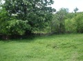 Продава ПАРЦЕЛ, с. Христовци, област Габрово, снимка 4