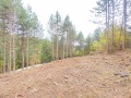 Продава ПАРЦЕЛ, гр. София, с. Бистрица, снимка 2