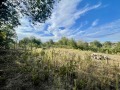 Продава КЪЩА, област Русе, с. Червена вода • 250000 € / 488957.50 лв. • 80767857 16
