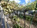 Продава КЪЩА, област Русе, с. Червена вода • 250000 € / 488957.50 лв. • 80767857 12