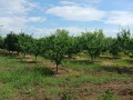 Продава  Къща област Пазарджик , с. Мало Конаре , 68 кв.м | 32289613 - изображение [6]