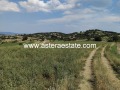 Продава  Земеделска земя област Благоевград , с. Делвино , 3.115 дка | 61764063 - изображение [6]