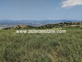 Продава  Земеделска земя област Благоевград , с. Делвино , 3.115 дка | 61764063 - изображение [9]