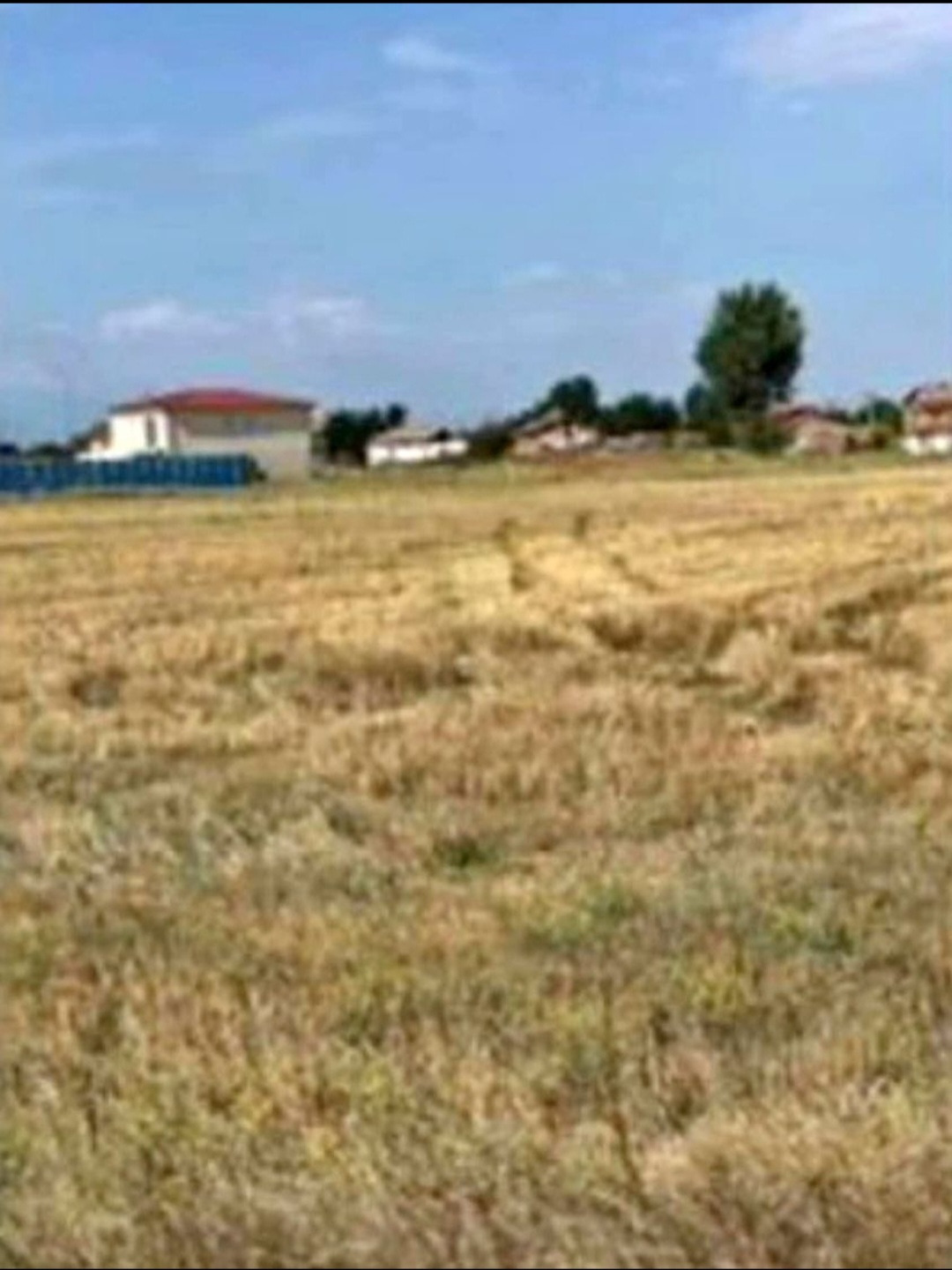 Продава ПАРЦЕЛ, с. Маноле, област Пловдив, снимка 2 - Парцели - 49954395