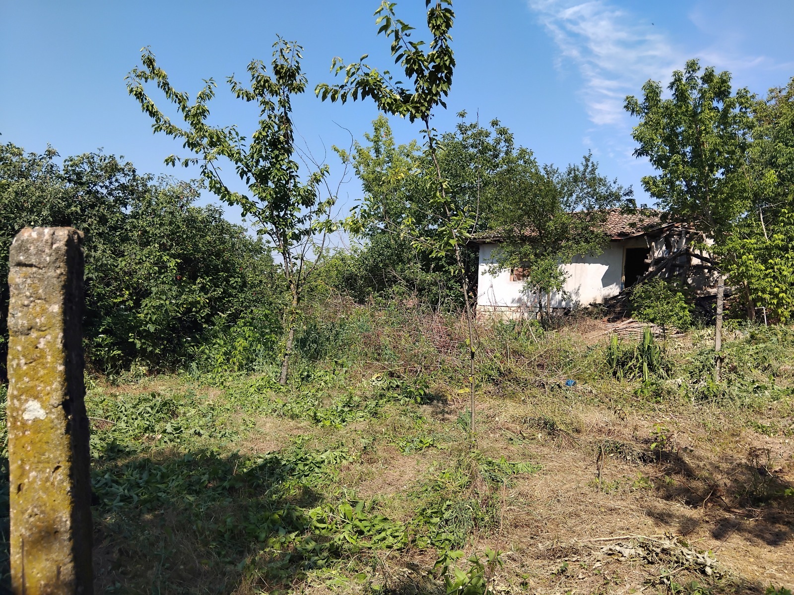 ������� ������ | Imot.bg � ����������� 1
