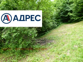 Продава парцел област Ловеч с. Бели Осъм - [1] 