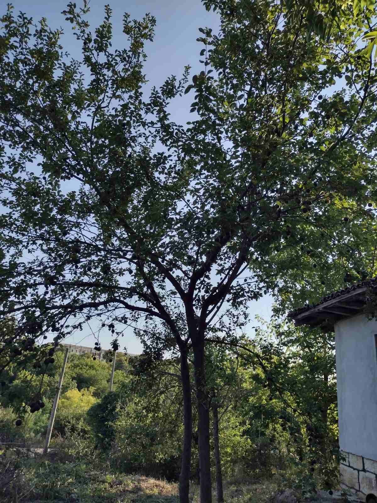 Продава ПАРЦЕЛ, с. Тетово, област Русе, снимка 6 - Парцели - 55207179