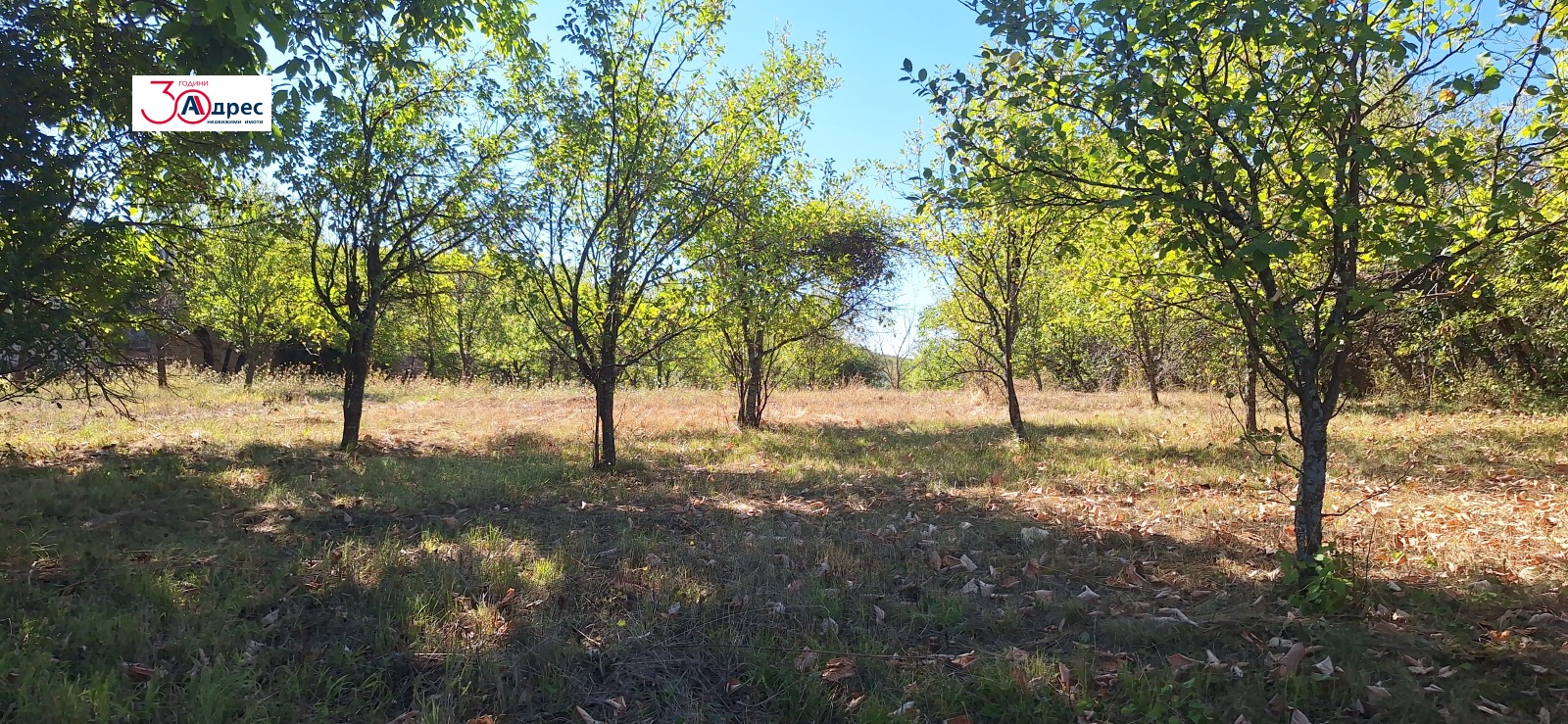 Продава ПАРЦЕЛ | Imot.bg — изображение 5