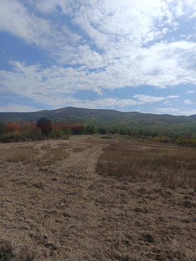 ����� ������� ������,�. ����, ������ ������