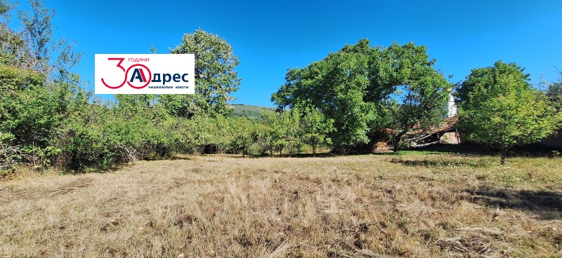 For Sale  Plot region Veliko Tarnovo , Elena , 1784 sq.m | 24612660 - image [7]