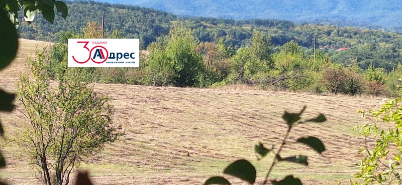 For Sale  Plot region Veliko Tarnovo , Elena , 1784 sq.m | 24612660
