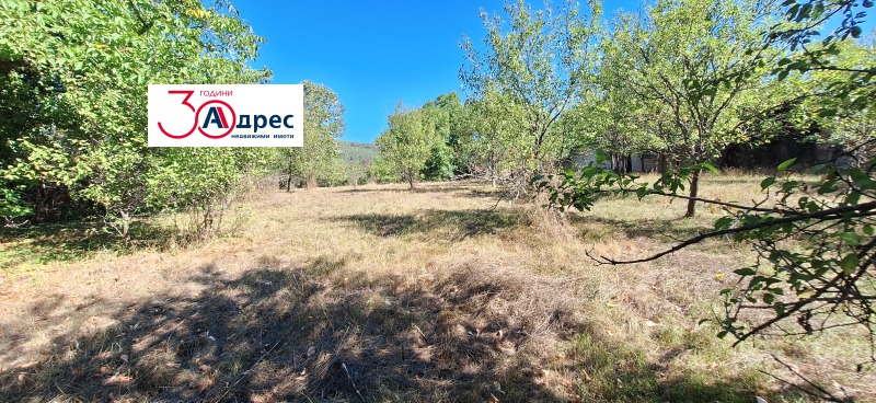 For Sale  Plot region Veliko Tarnovo , Elena , 1784 sq.m | 24612660 - image [6]