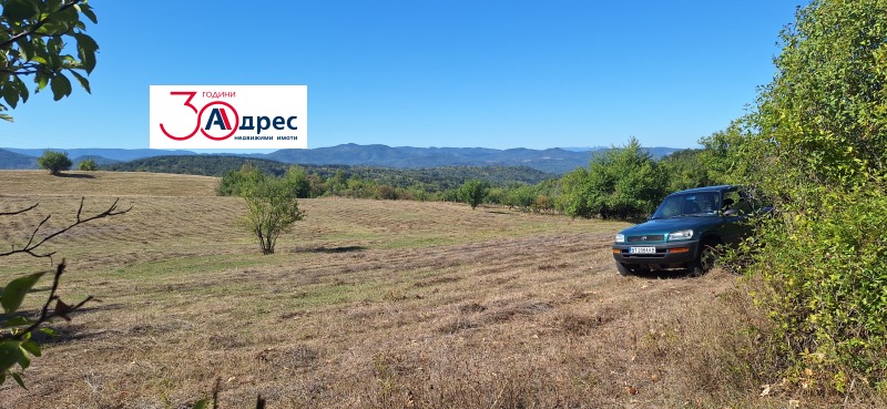 For Sale  Plot region Veliko Tarnovo , Elena , 1784 sq.m | 24612660 - image [9]