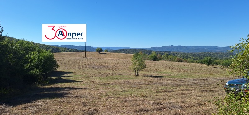 For Sale  Plot region Veliko Tarnovo , Elena , 1784 sq.m | 24612660 - image [10]