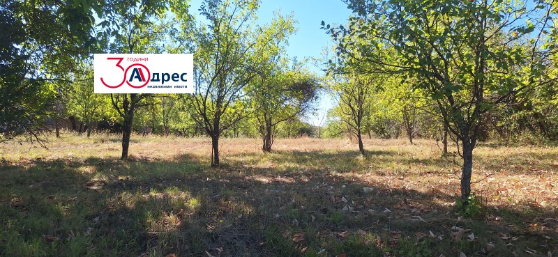 For Sale  Plot region Veliko Tarnovo , Elena , 1784 sq.m | 24612660 - image [5]
