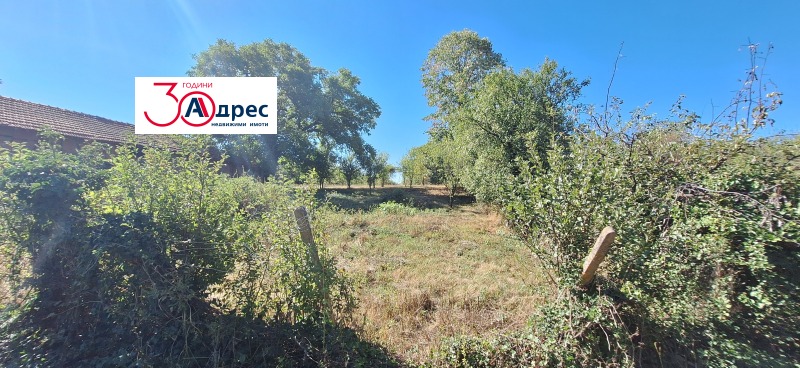 For Sale  Plot region Veliko Tarnovo , Elena , 1784 sq.m | 24612660 - image [2]