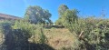 Продава ПАРЦЕЛ, област Велико Търново, гр. Елена • 21000 € • 89553292 — Holmes.bg