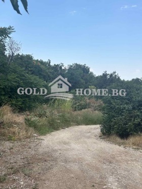 Grund Belashtitsa, region Plovdiv