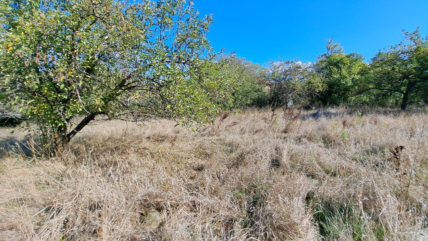 Продава ПАРЦЕЛ | Imot.bg — изображение 6