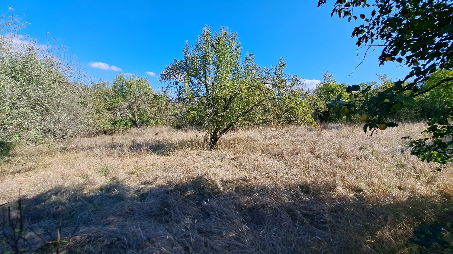 Продава ПАРЦЕЛ | Imot.bg — изображение 4