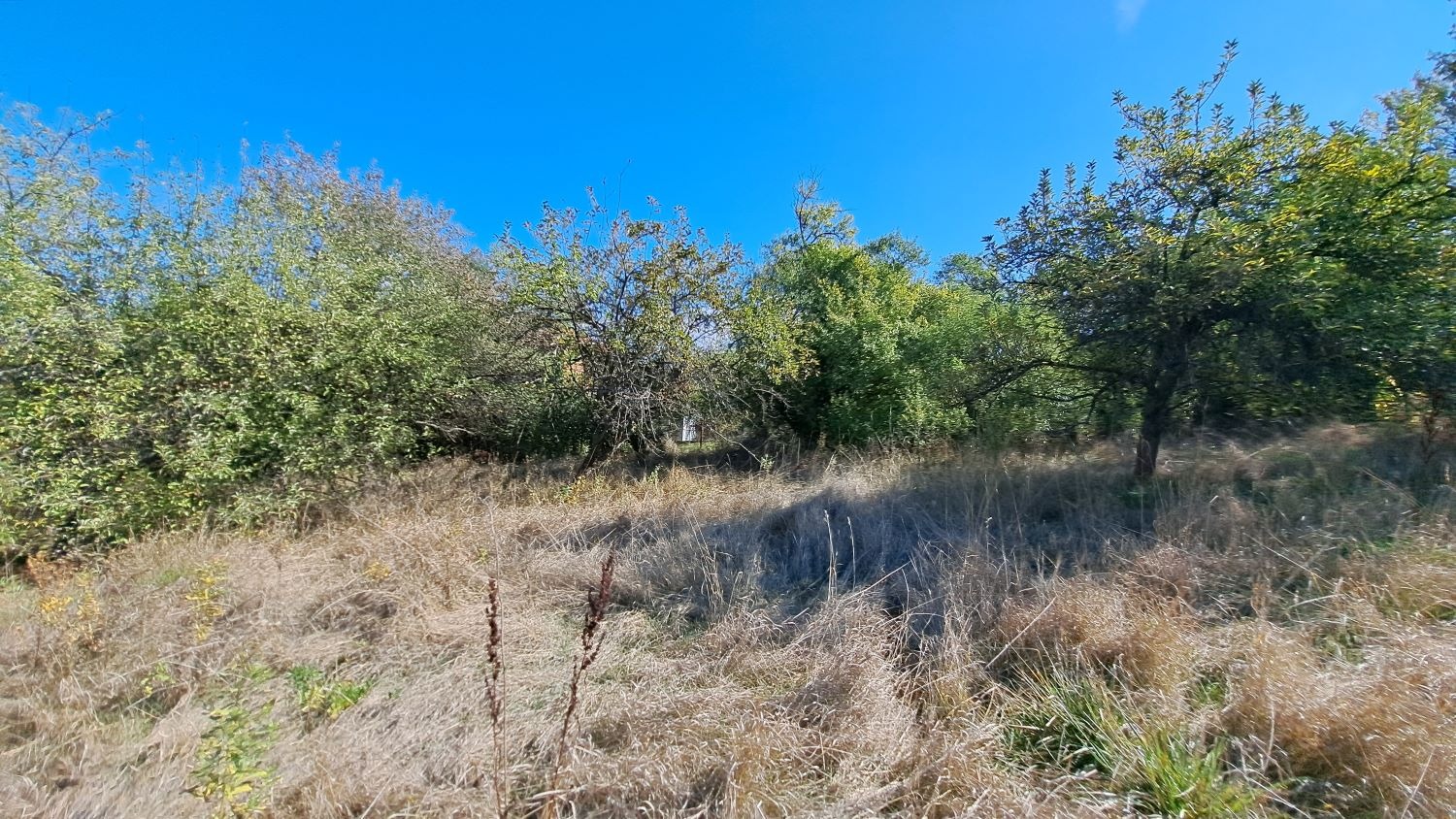 Продава ПАРЦЕЛ | Imot.bg — изображение 7