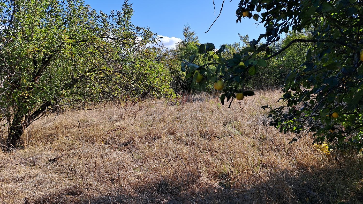 Продава ПАРЦЕЛ | Imot.bg — изображение 2